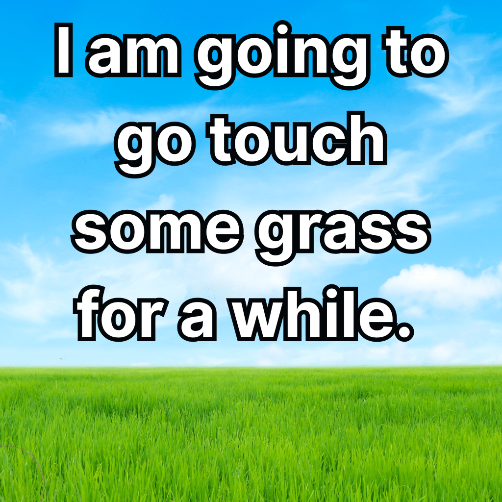 CREATIVE RESET:  I am going to go touch some grass for a&nbsp;while.