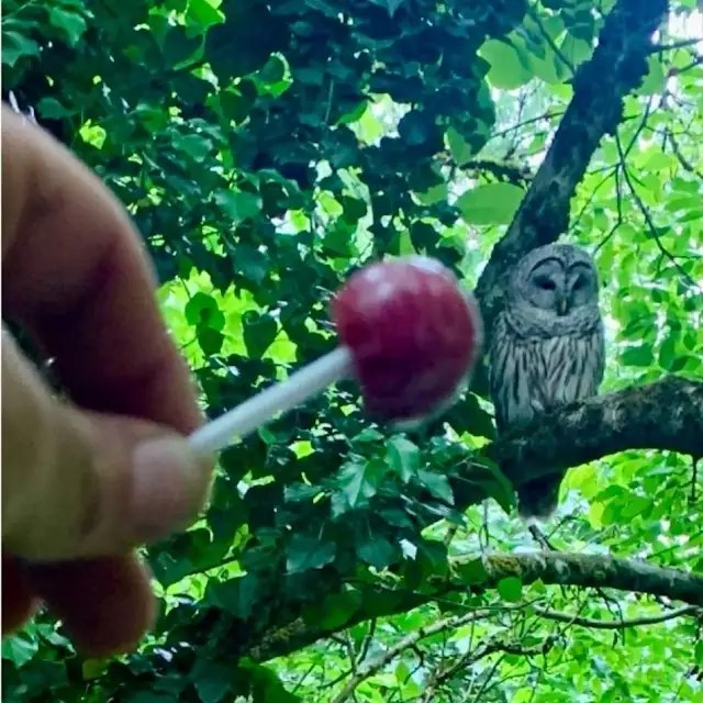 Gen X Meme:&nbsp;IYKYK